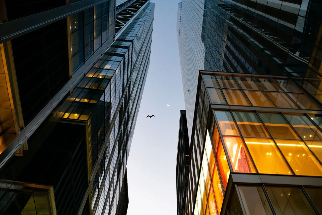 Photo shows pedestrian-view of bird flying between two skyscrapers