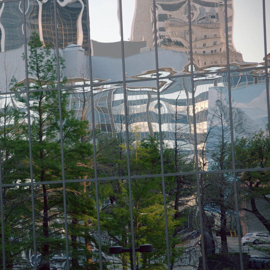 Reflection of vegetation in glass