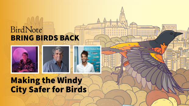 Bird Note podcast cover photo depicting the three experts interviewed and a bird drawn flying in front of buildings.