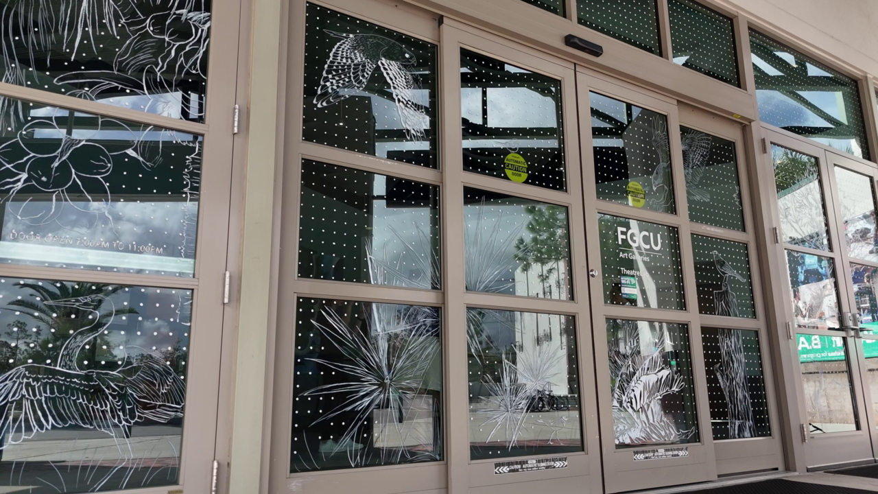 Window art at Florida Gulf Coast University showing dots and bird drawings on glass.