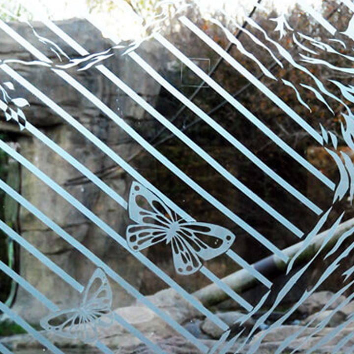 ABC bird tape makes stripes and butterfly shapes on glass surface