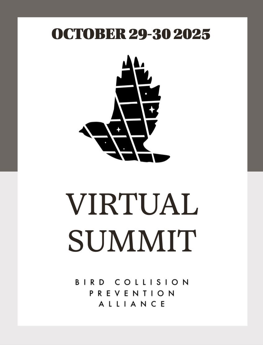BCPA summit - white paper